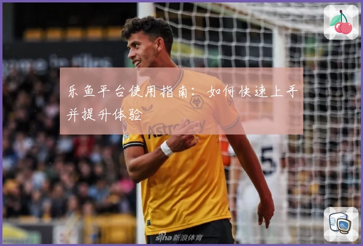 乐鱼平台使用指南：如何快速上手并提升体验