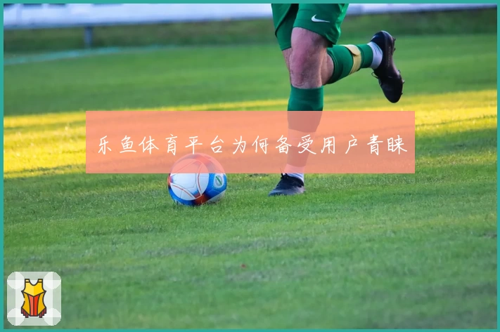 乐鱼体育平台为何备受用户青睐