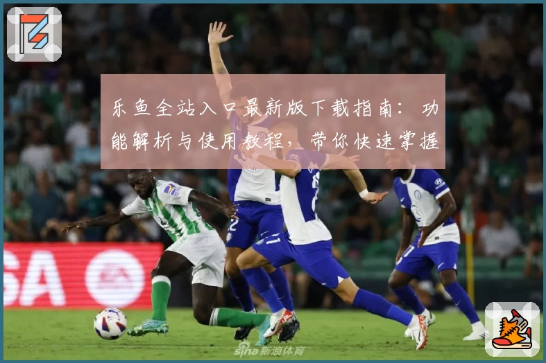 乐鱼全站入口最新版下载指南：功能解析与使用教程，带你快速掌握新手必备技能