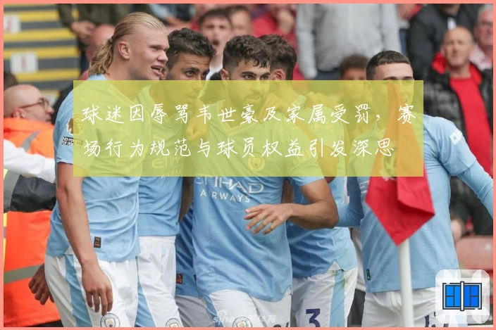 球迷因辱骂韦世豪及家属受罚，赛场行为规范与球员权益引发深思