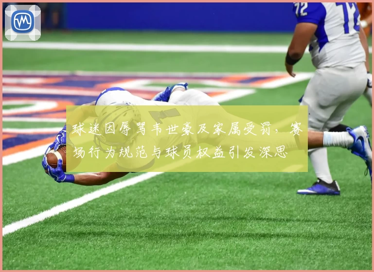 球迷因辱骂韦世豪及家属受罚，赛场行为规范与球员权益引发深思
