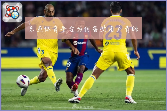 乐鱼体育平台为何备受用户青睐